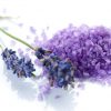 eska group batam eska wellness spa massage & salon 5lavender